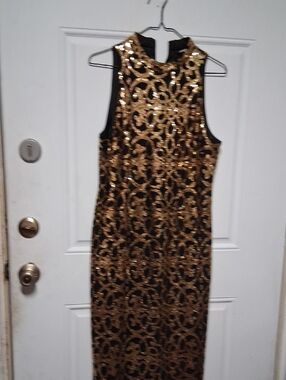 Like New Excellent Used Condition Ladies Size 10 Gianni Bini Dress